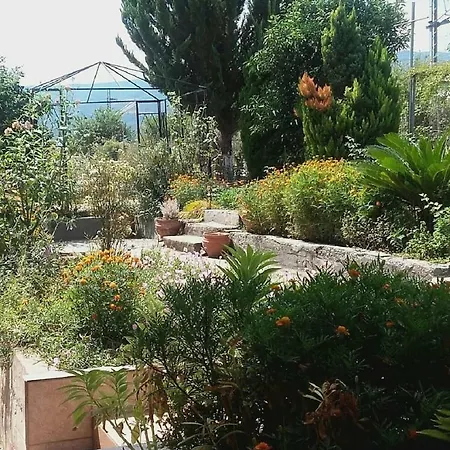 Plaza 2*