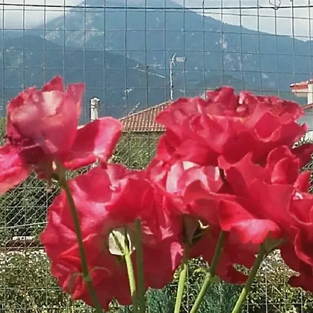 Plaza 2* Leptokariá