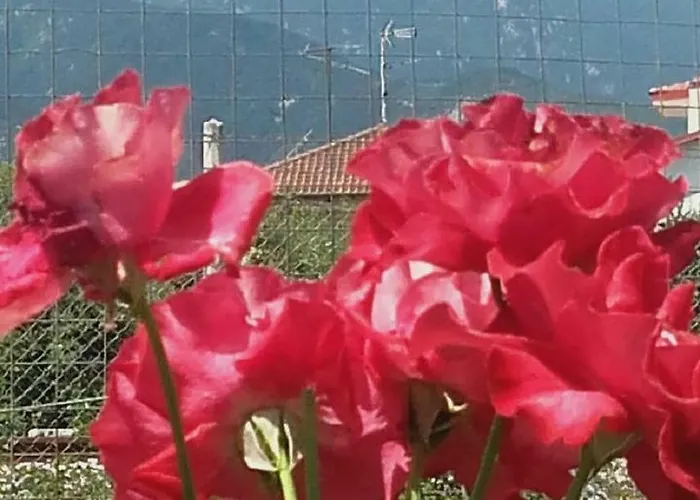 Plaza 3* Leptokarya (Pieria)